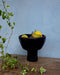 Coupe à fruits Sejna