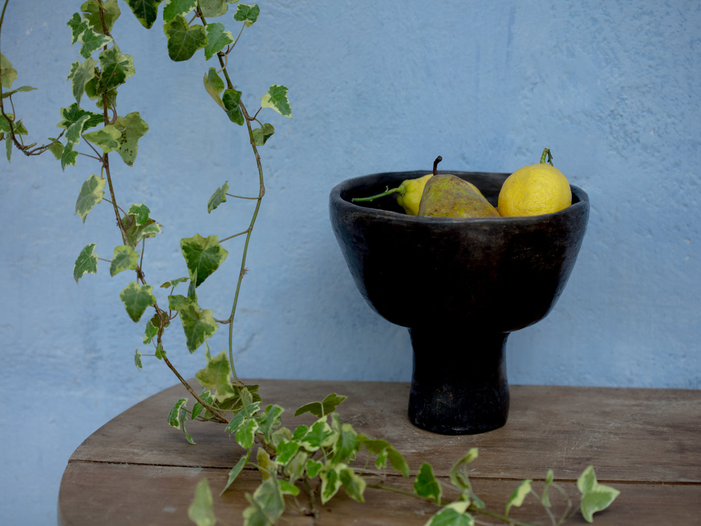 Coupe à fruits Sejna