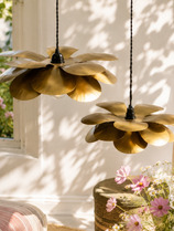 Cosmos Suspension