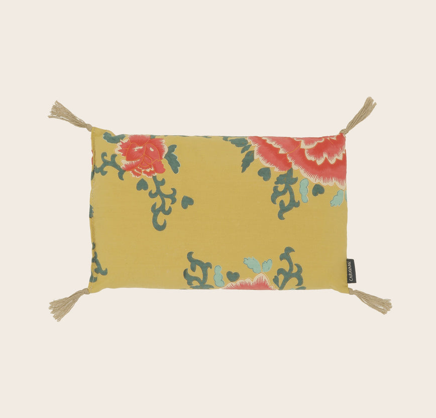 Noyaux de cerise Liao