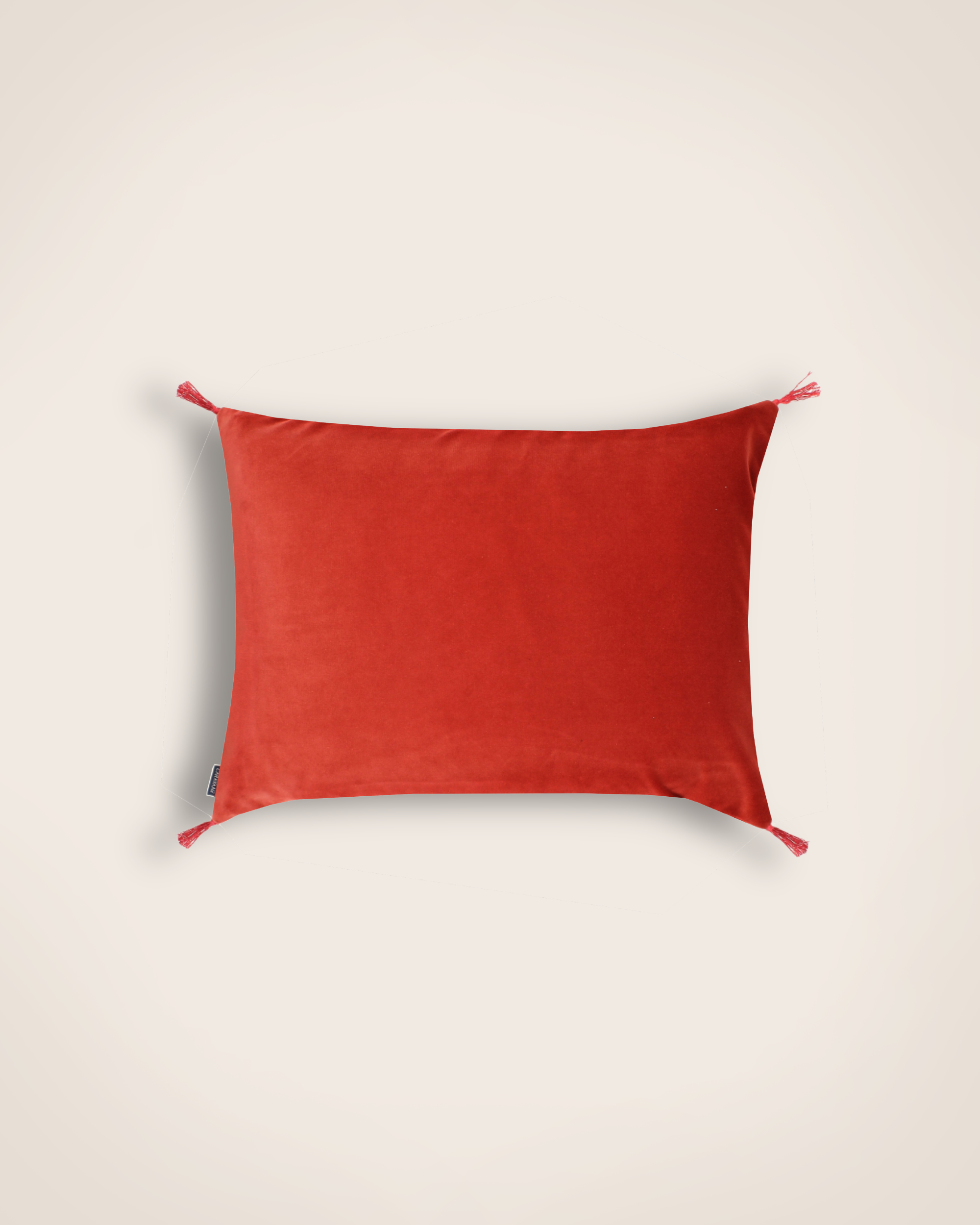 Housse de coussin Smooth