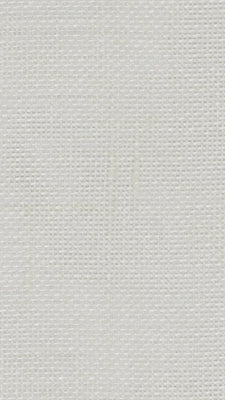 Tissu Canigo voile de lin transparent