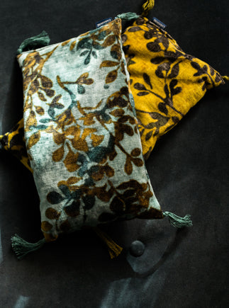 Noyaux de cerise Foglia