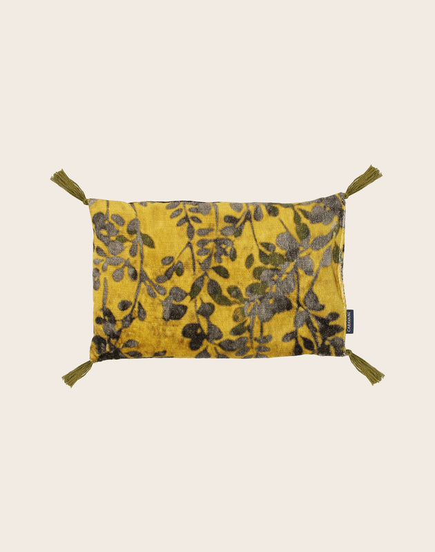 Noyaux de cerise Foglia