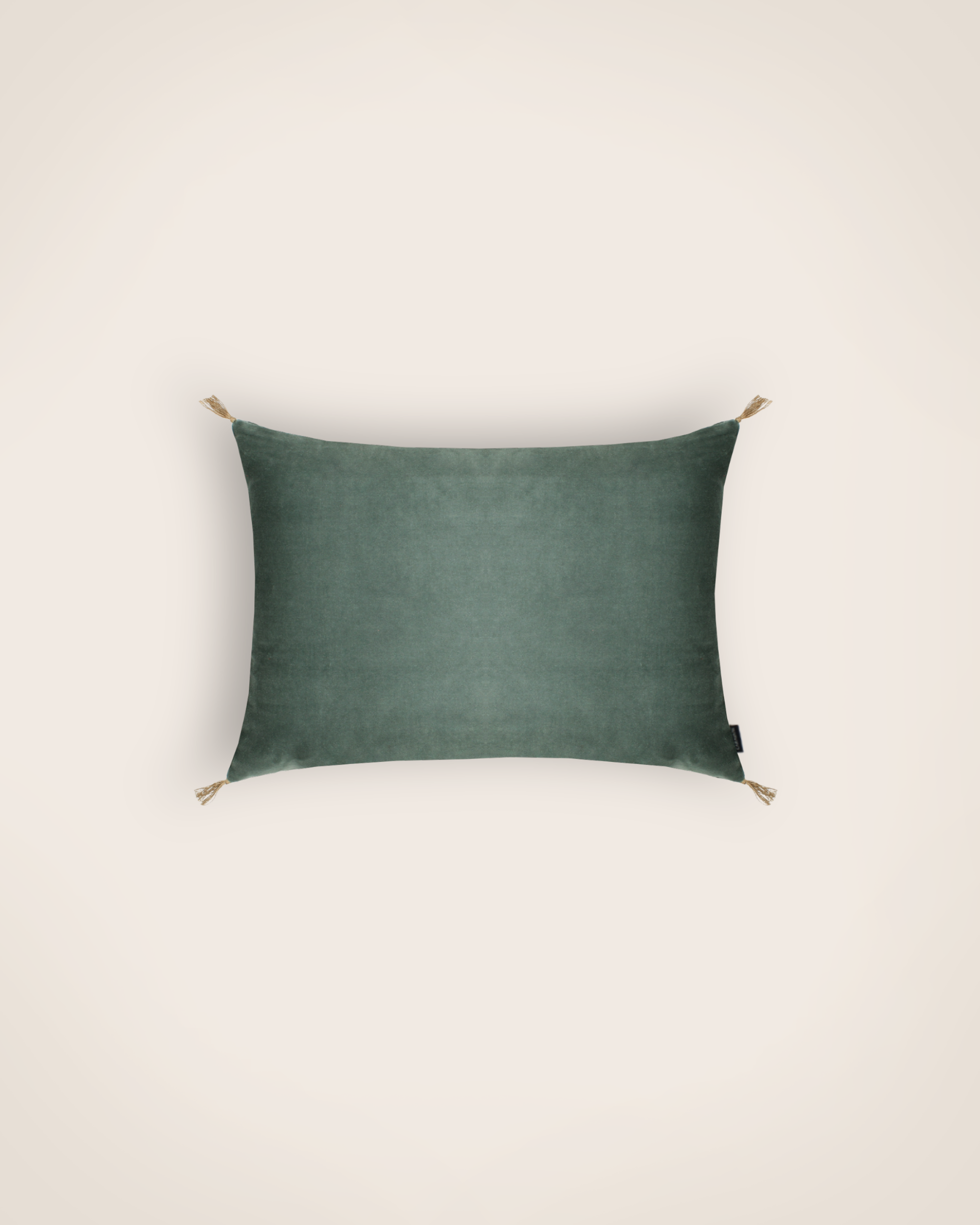 Housse de coussin Velours lavé coloris glacier