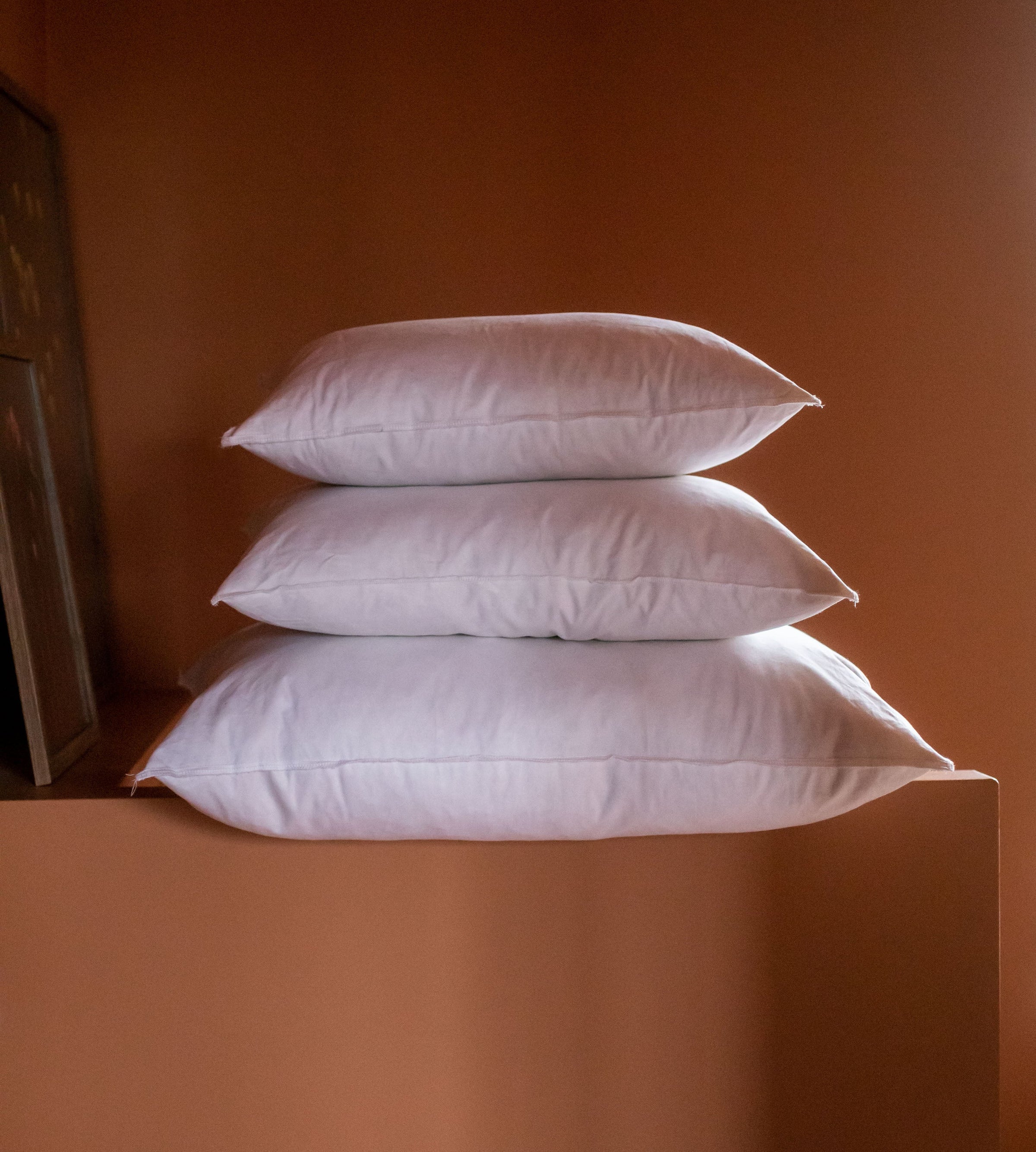 Intérieur de coussin en plume