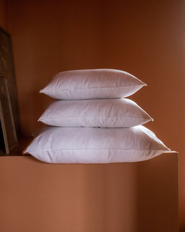 Intérieur de coussin en plume