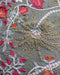 Housse de coussin Papilio