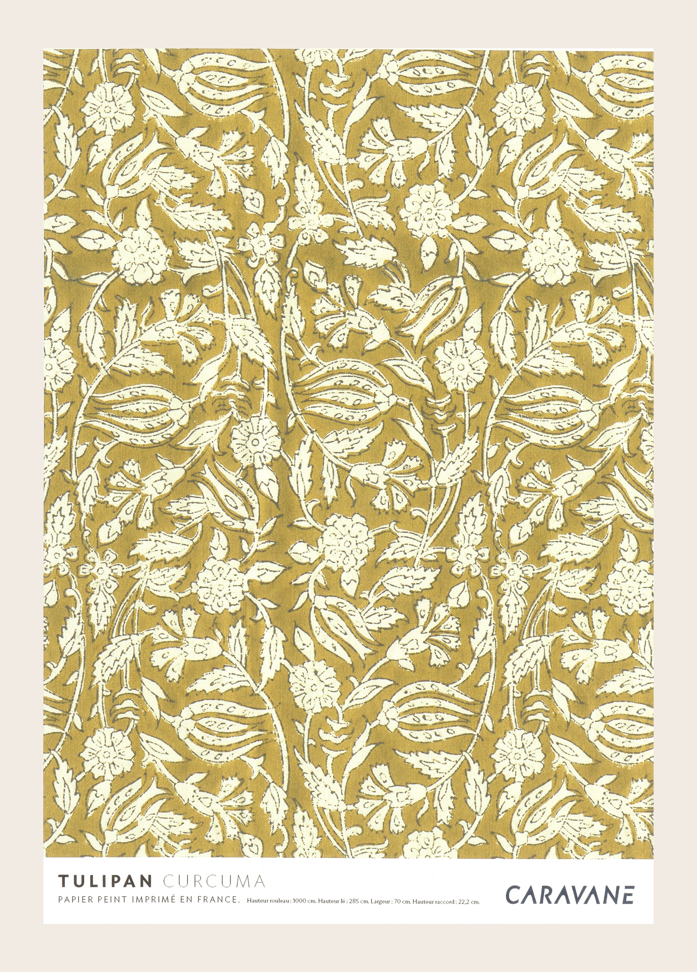 Wallpaper Tulipan Curcuma