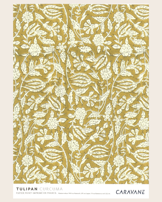 Wallpaper Tulipan Curcuma
