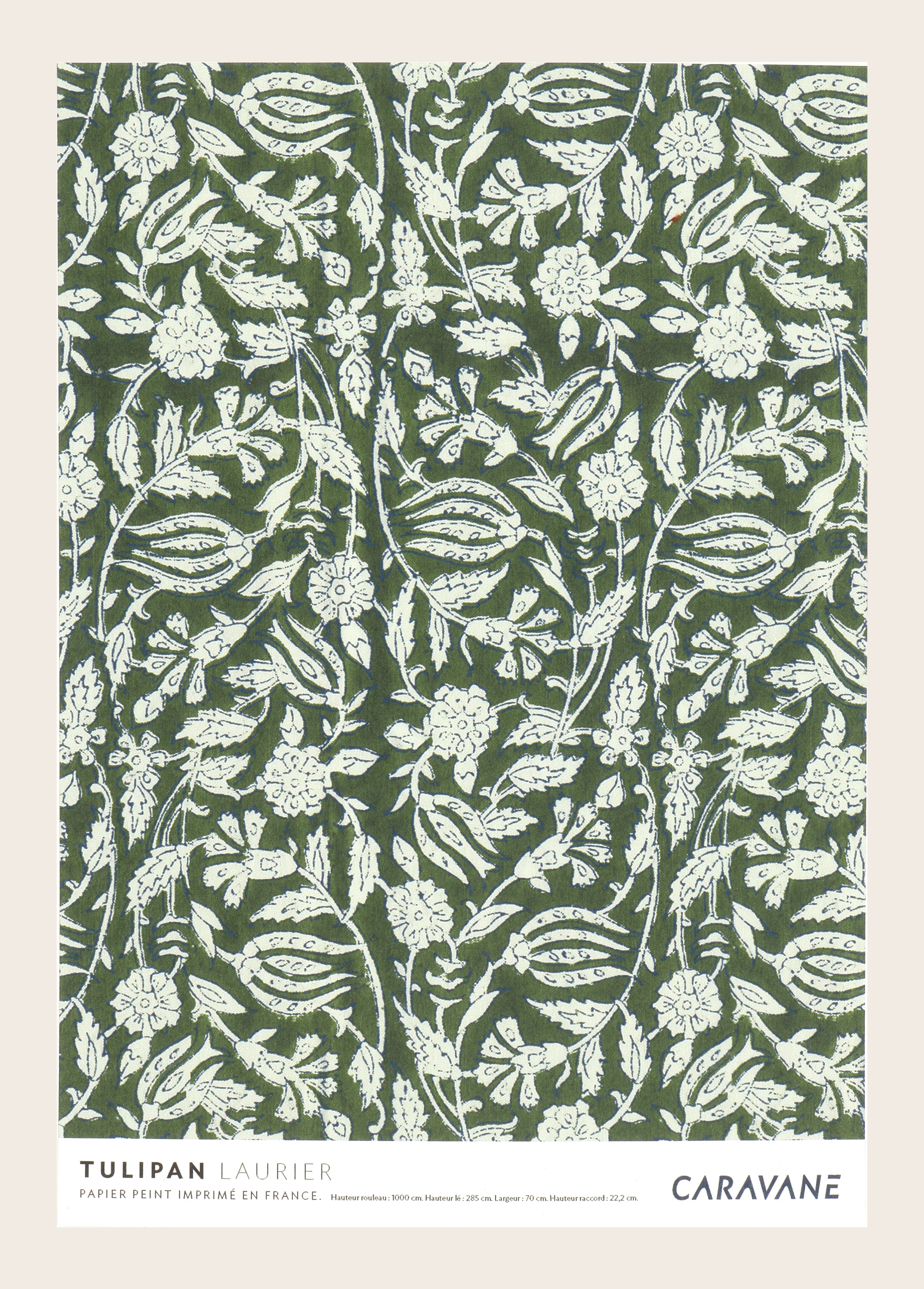 Wallpaper Tulipan Laurier
