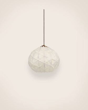 Suspension Pily