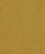 Samba fabric sample