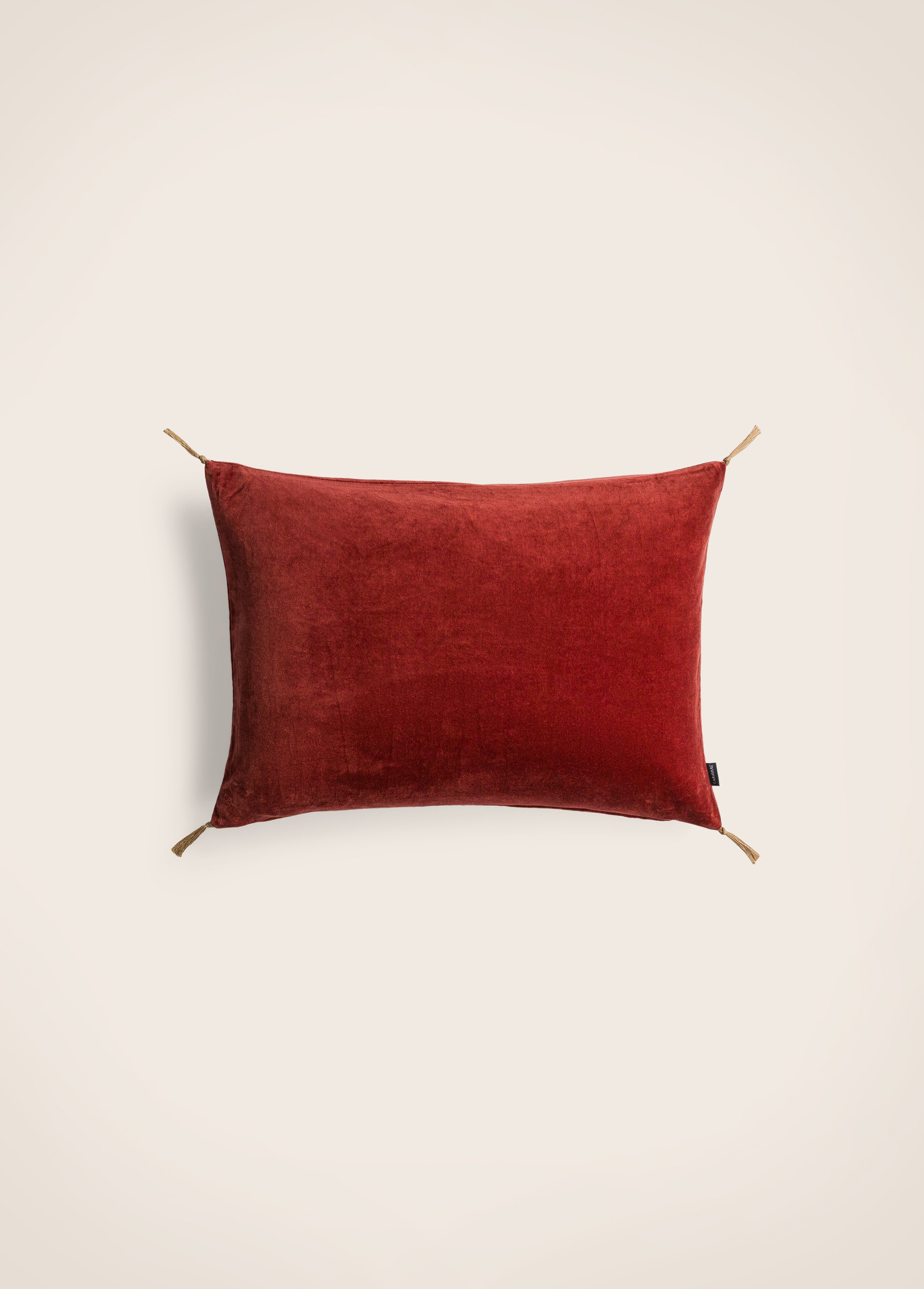 Housse de coussin Velours lavé