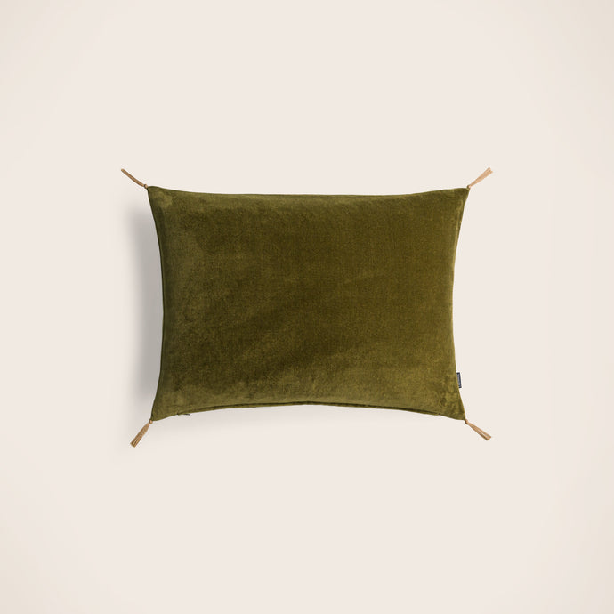 Washed velvet cushion cover