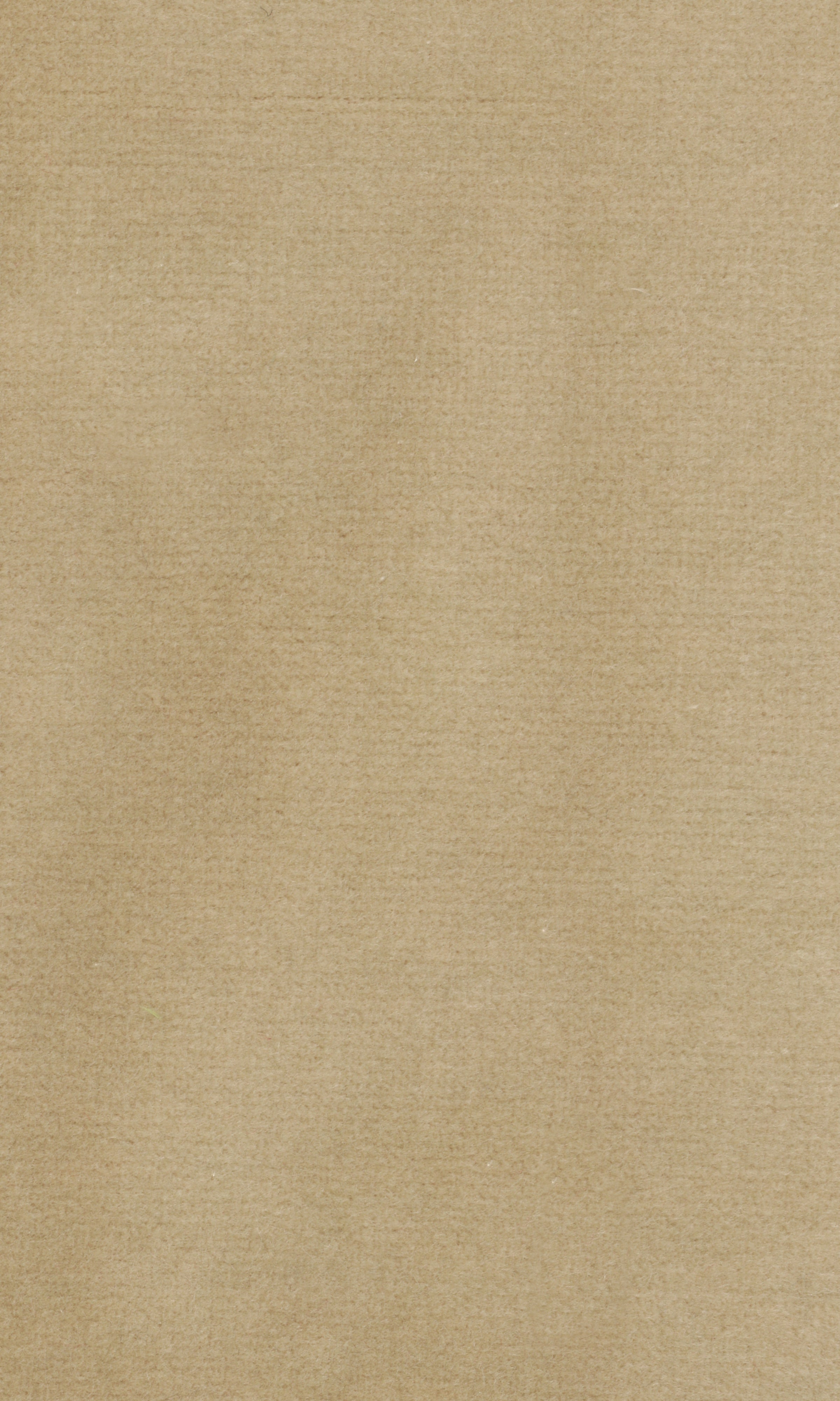 Dolce fabric