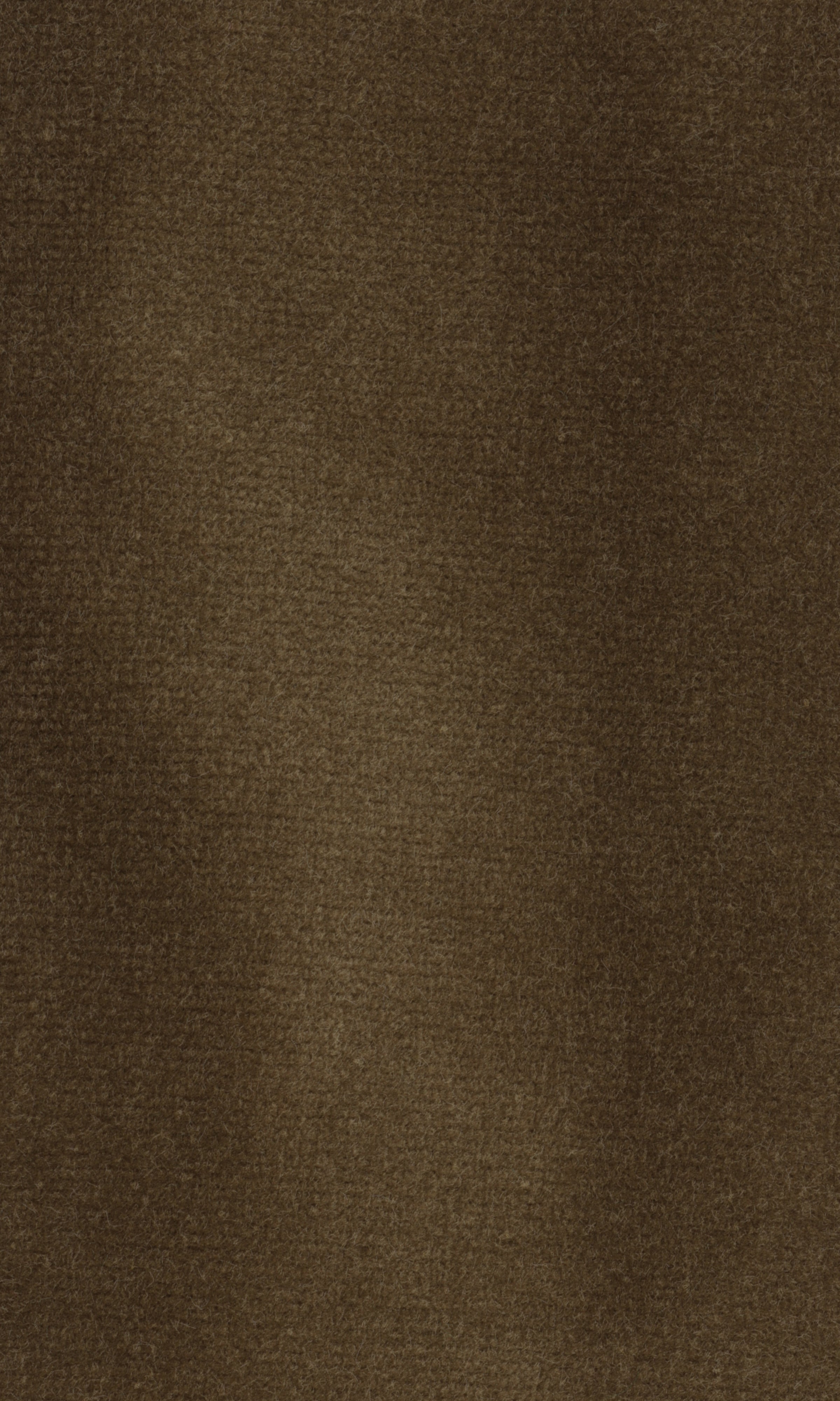 Dolce fabric