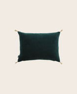 Washed velvet cushion cover