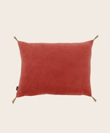 Washed velvet cushion cover