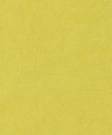 Echantillon tissu Selena