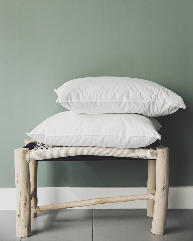 Intérieur de coussin en plume de canard