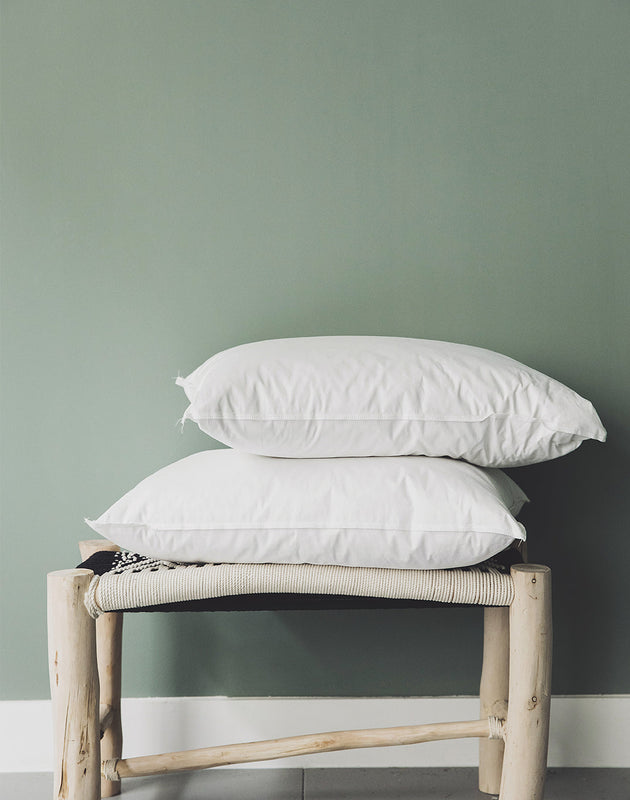 Intérieur de coussin en plume de canard