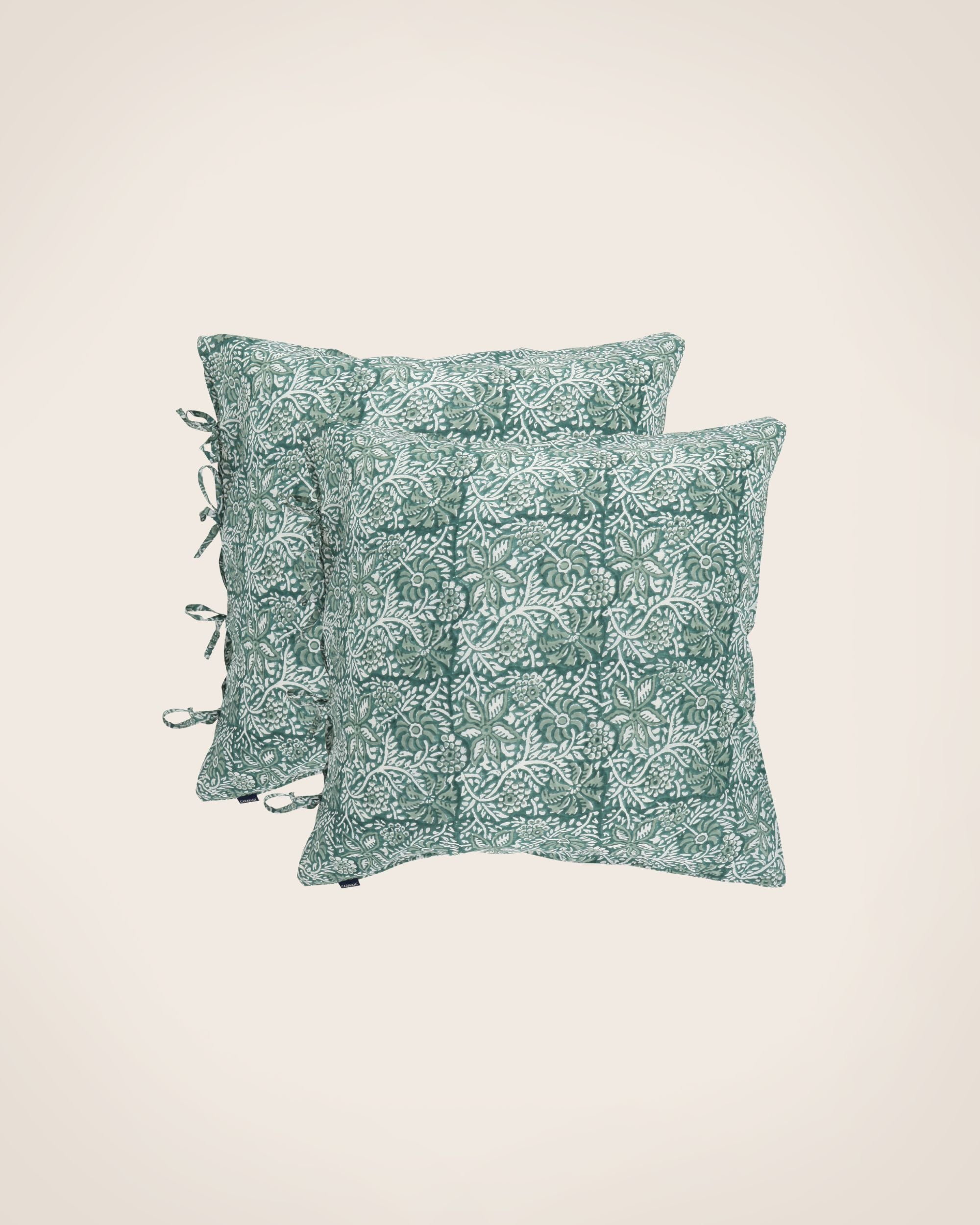 Set of 2 Paisley pillowcases