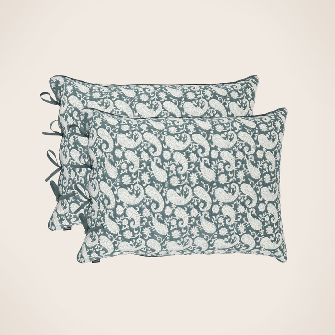 Set of 2 Paisley pillowcases